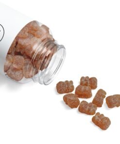 Multivitamin Gummies for Adults (60 Gummies)